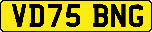 VD75BNG
