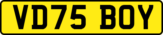 VD75BOY