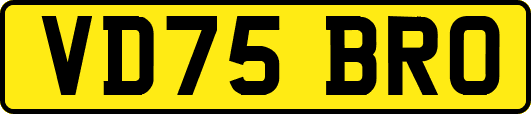 VD75BRO