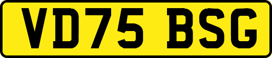 VD75BSG