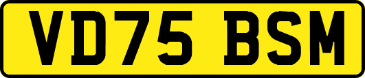 VD75BSM