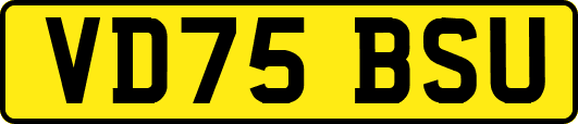 VD75BSU