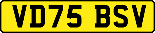 VD75BSV
