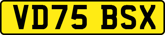 VD75BSX