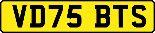 VD75BTS
