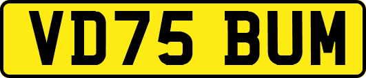 VD75BUM