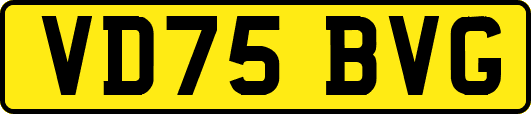 VD75BVG