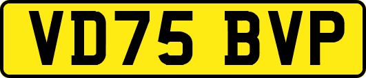 VD75BVP