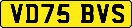 VD75BVS