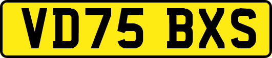 VD75BXS