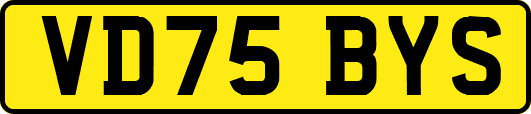 VD75BYS