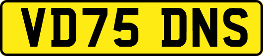 VD75DNS