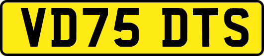 VD75DTS