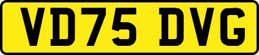 VD75DVG