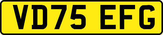VD75EFG
