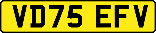 VD75EFV