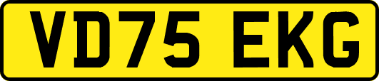 VD75EKG