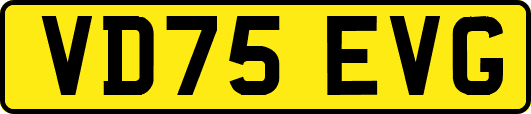 VD75EVG