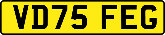 VD75FEG
