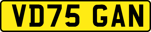 VD75GAN
