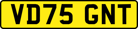 VD75GNT