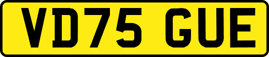 VD75GUE
