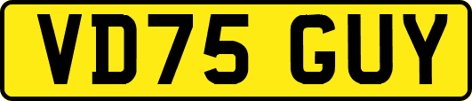 VD75GUY