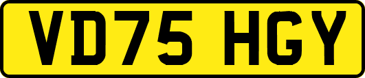 VD75HGY