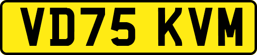 VD75KVM
