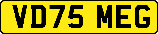 VD75MEG
