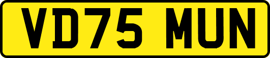 VD75MUN