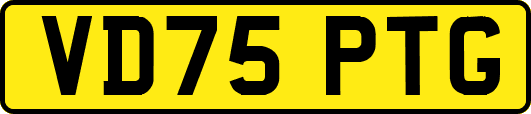 VD75PTG