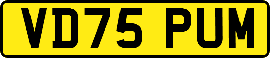 VD75PUM
