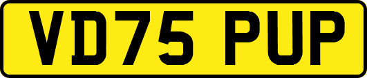 VD75PUP