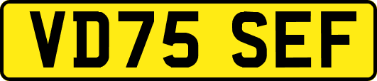 VD75SEF