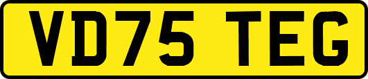 VD75TEG