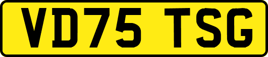 VD75TSG