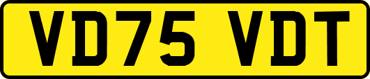 VD75VDT