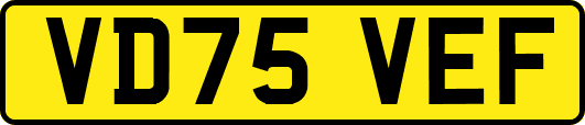VD75VEF