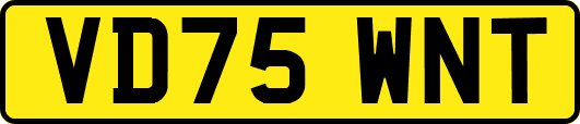 VD75WNT