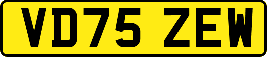 VD75ZEW
