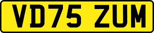 VD75ZUM
