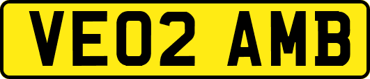 VE02AMB