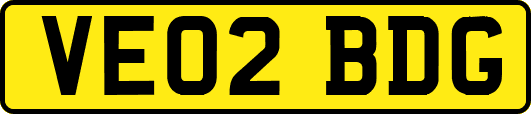 VE02BDG