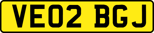 VE02BGJ