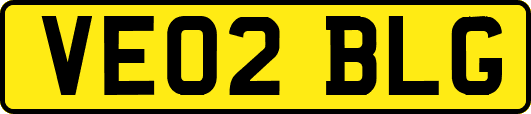 VE02BLG