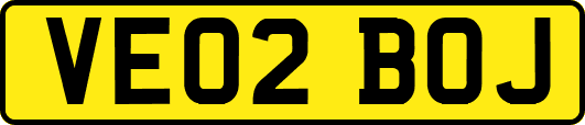VE02BOJ