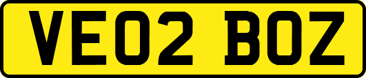 VE02BOZ