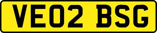 VE02BSG