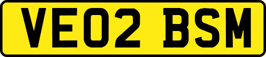 VE02BSM